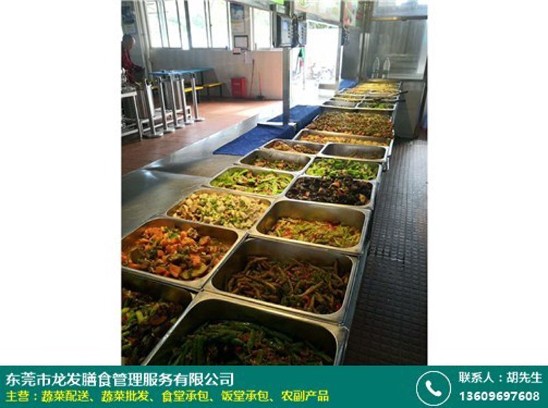 团餐配送行业的崛起与变革
